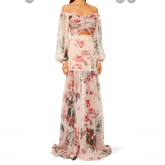 PatBO Dresses & Skirts - PATBO
Carolina off-the-shoulder crochet-trimmed floral-print chiffon maxi dress